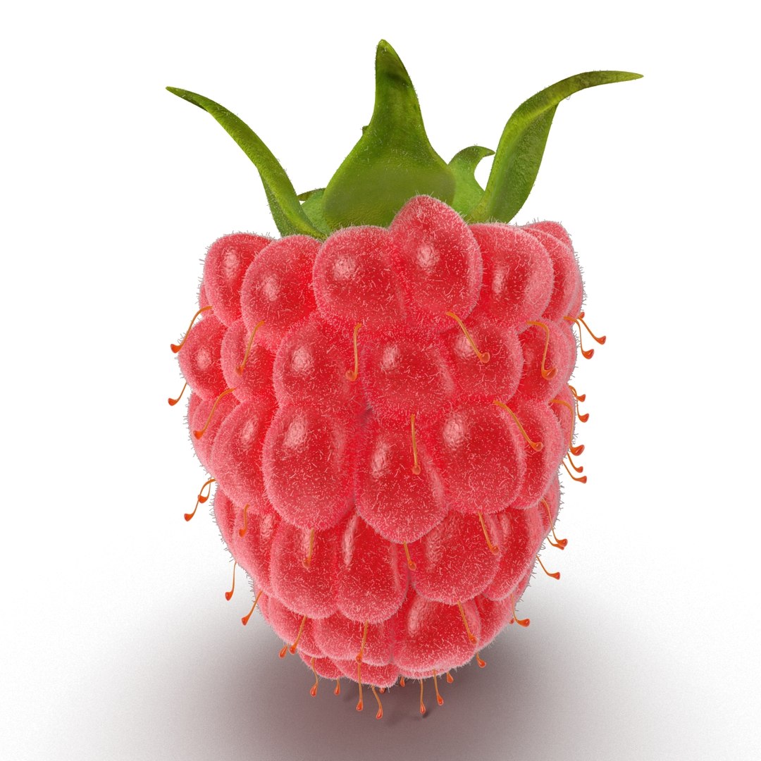 Raspberry 3 Fur 3d Max