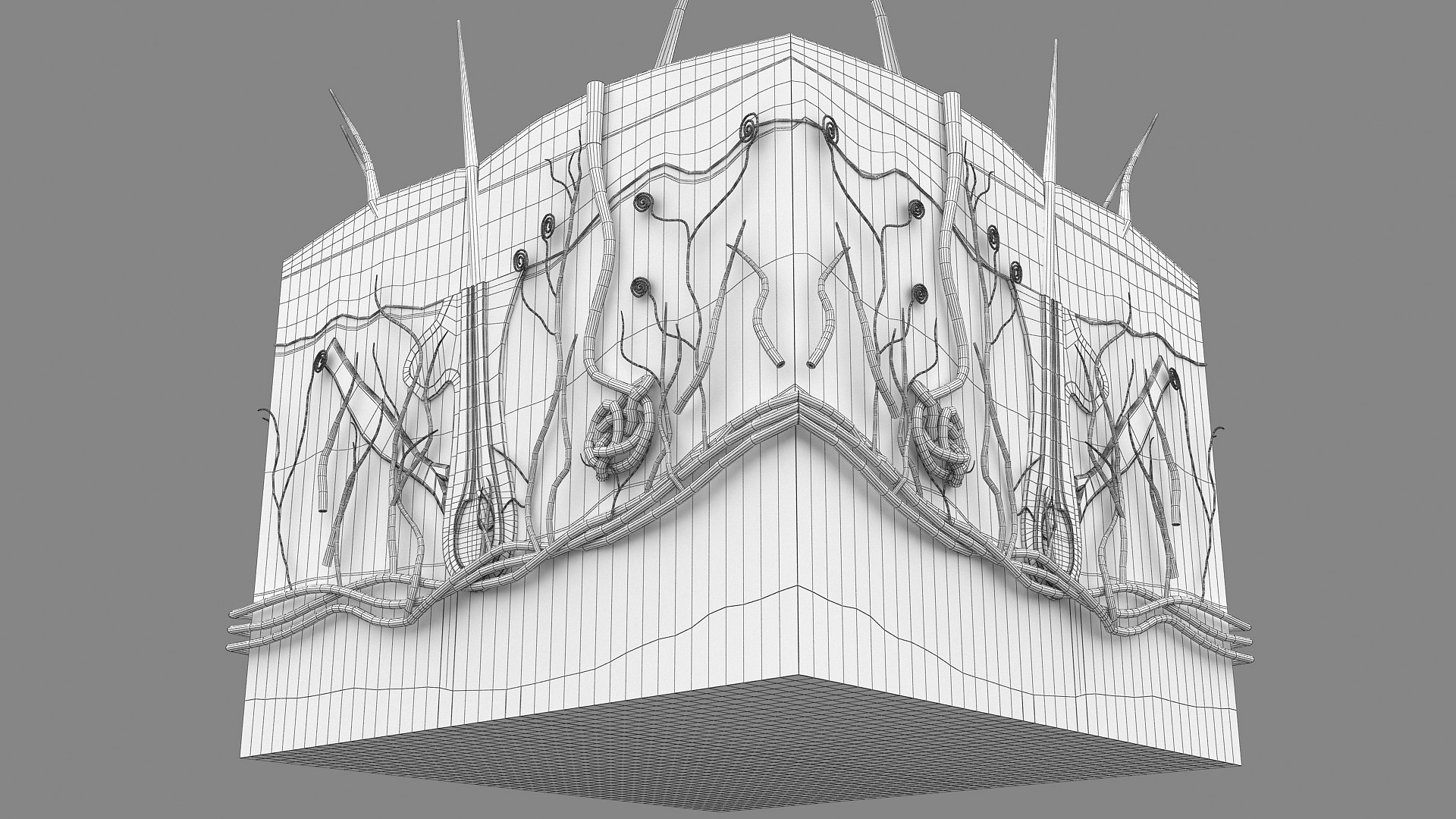3D Hair and Skin Anatomy https://p.turbosquid.com/ts-thumb/XL/fZsilW/W0/wire_hairfollicles_010004/jpg/1741922283/1920x1080/fit_q87/6a0686c2d5075afc345fc7fb33a8a3d859eec488/wire_hairfollicles_010004.jpg