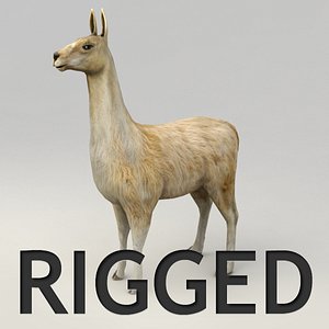 Llama Rigged