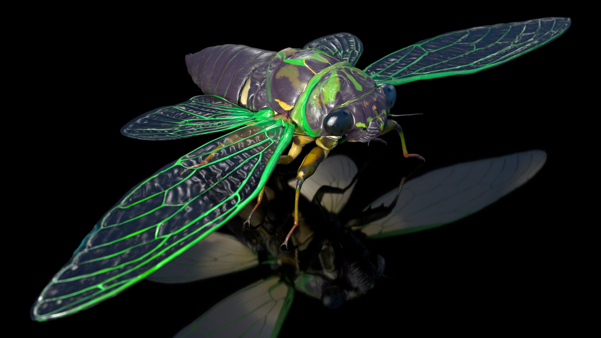3D Cicada https://p.turbosquid.com/ts-thumb/XL/lFSxiJ/Uk/cicada3dsmodel006/jpg/1680161280/1920x1080/fit_q87/6747421f29a84e5b5f49d2e12af91a730cc37f0e/cicada3dsmodel006.jpg