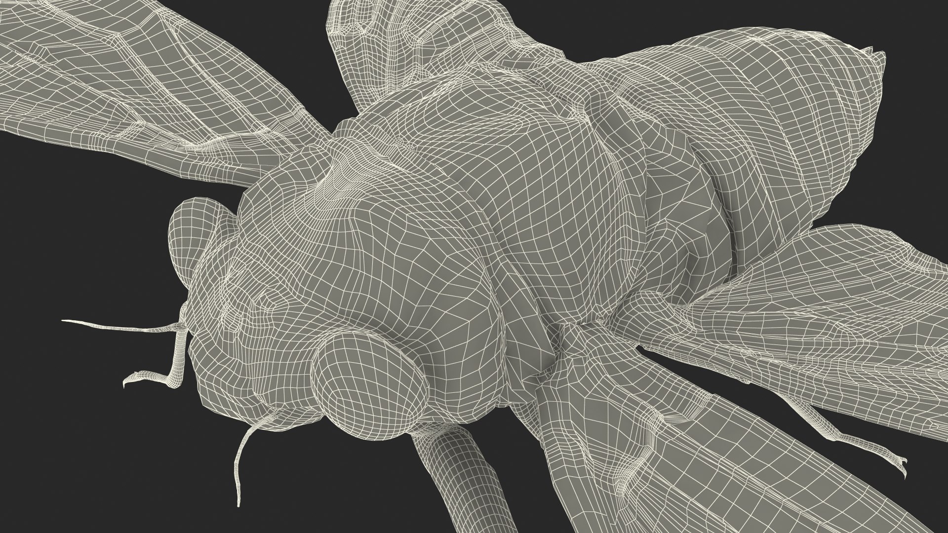 3D Cicada https://p.turbosquid.com/ts-thumb/XL/lFSxiJ/W1/cicada3dsmodel031/jpg/1680161358/1920x1080/fit_q87/c2fa336674b1b6e086a75d8b8d55dc9be1584340/cicada3dsmodel031.jpg
