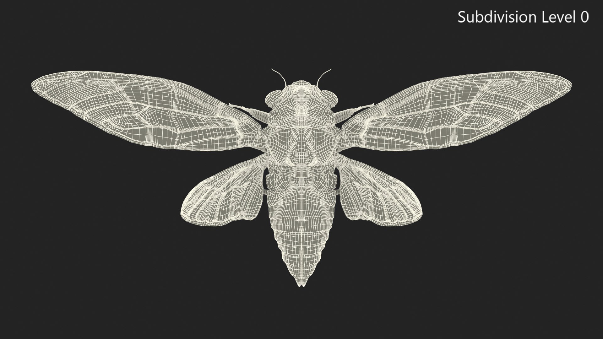 3D Cicada https://p.turbosquid.com/ts-thumb/XL/lFSxiJ/bK/cicada3dsmodel020/jpg/1680161324/1920x1080/fit_q87/6be7c917510dc89544c9945ae0764160c3e6d5a6/cicada3dsmodel020.jpg
