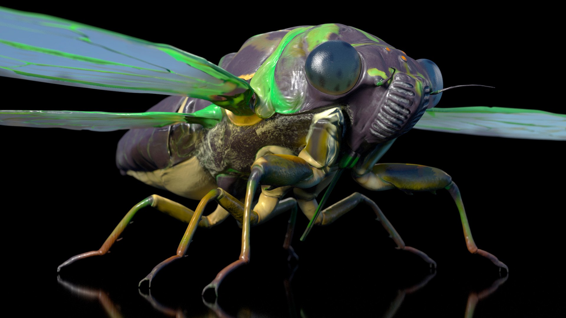 3D Cicada https://p.turbosquid.com/ts-thumb/XL/lFSxiJ/gf/cicada3dsmodel007/jpg/1680161283/1920x1080/fit_q87/2949e8d5cd1aa5fa8c9a346cbafd910bca60700d/cicada3dsmodel007.jpg
