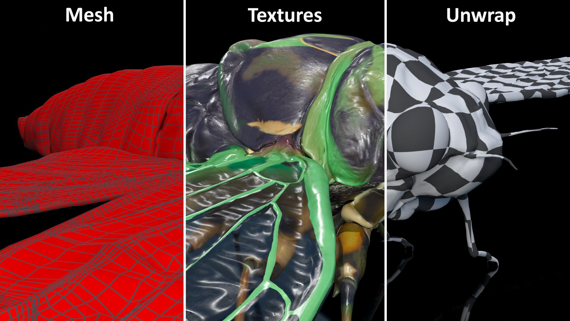 3D Cicada https://p.turbosquid.com/ts-thumb/XL/lFSxiJ/n8/cicada3dsmodel019/jpg/1680161322/1920x1080/fit_q87/ef3aa740616a147c94d3a769eea8d93ae20aa9f0/cicada3dsmodel019.jpg