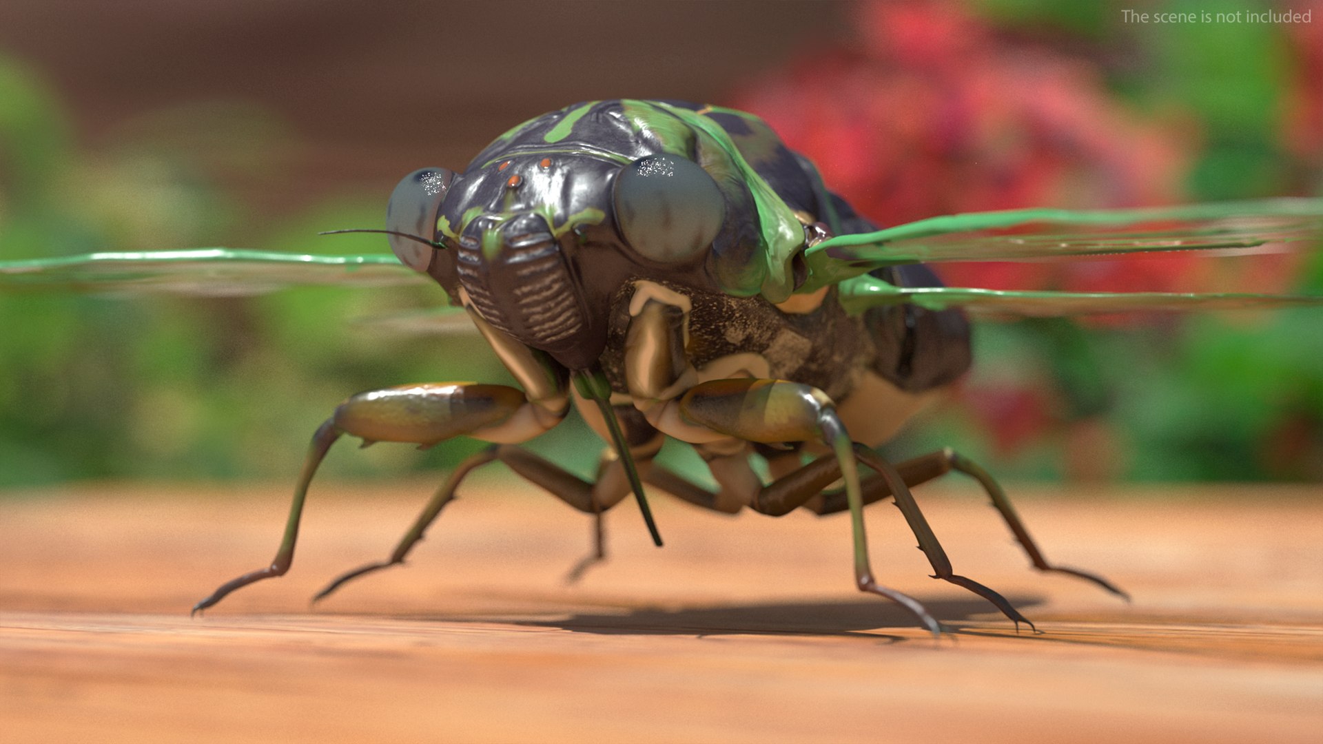 3D Cicada https://p.turbosquid.com/ts-thumb/XL/lFSxiJ/s1/cicada3dsmodel005/jpg/1680161277/1920x1080/fit_q87/2f1e67c1377dc1191451967670aa198fb3d1c4bb/cicada3dsmodel005.jpg