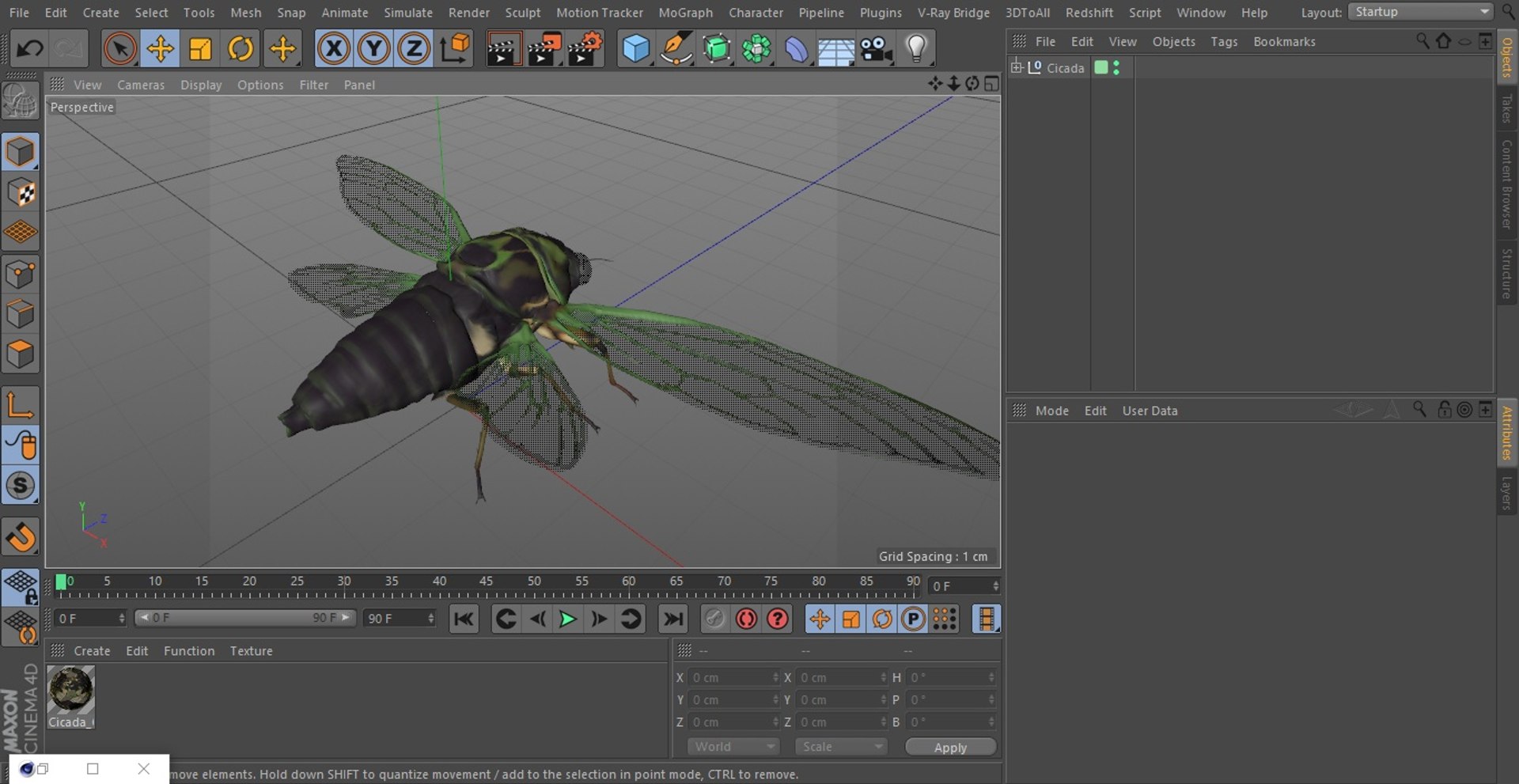 3D Cicada https://p.turbosquid.com/ts-thumb/XL/lFSxiJ/tW/cicada3dsmodel027/jpg/1680161347/1920x1080/fit_q87/15ae46bc91954a8b4cad1a67c17b1ec74f4184ff/cicada3dsmodel027.jpg