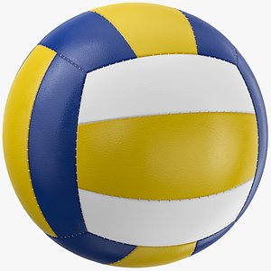 Volleyball Ball 01
