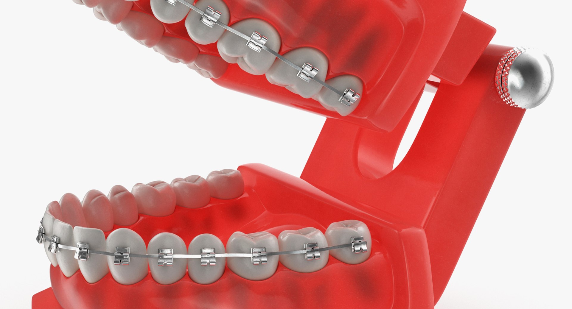 dental 3 3D https://p.turbosquid.com/ts-thumb/XL/uMHi1R/45sQSVu7/dentalcollection33dmodel026/jpg/1543060939/1920x1080/fit_q87/b6d98e34ded8c6e90fb48102a24bfc2d94cb4041/dentalcollection33dmodel026.jpg