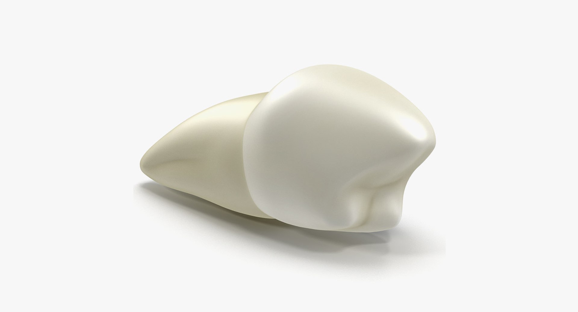 dental 3 3D https://p.turbosquid.com/ts-thumb/XL/uMHi1R/Lp7ywwv3/dentalcollection33dmodel054/jpg/1543060952/1920x1080/fit_q87/1480694f142a1997ef4a690cf0b456444de13c7e/dentalcollection33dmodel054.jpg