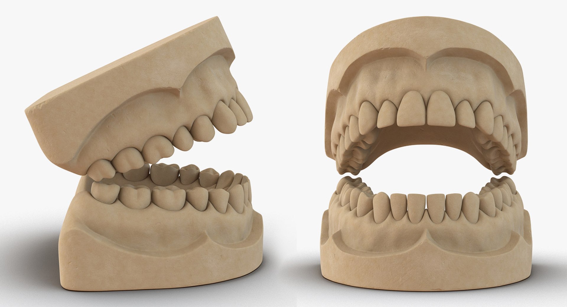 dental 3 3D https://p.turbosquid.com/ts-thumb/XL/uMHi1R/bfgaH2sP/dentalcollection33dmodel052/jpg/1543060951/1920x1080/fit_q87/4215f362628e4f71b05101240b7ae41b7dcb39f5/dentalcollection33dmodel052.jpg