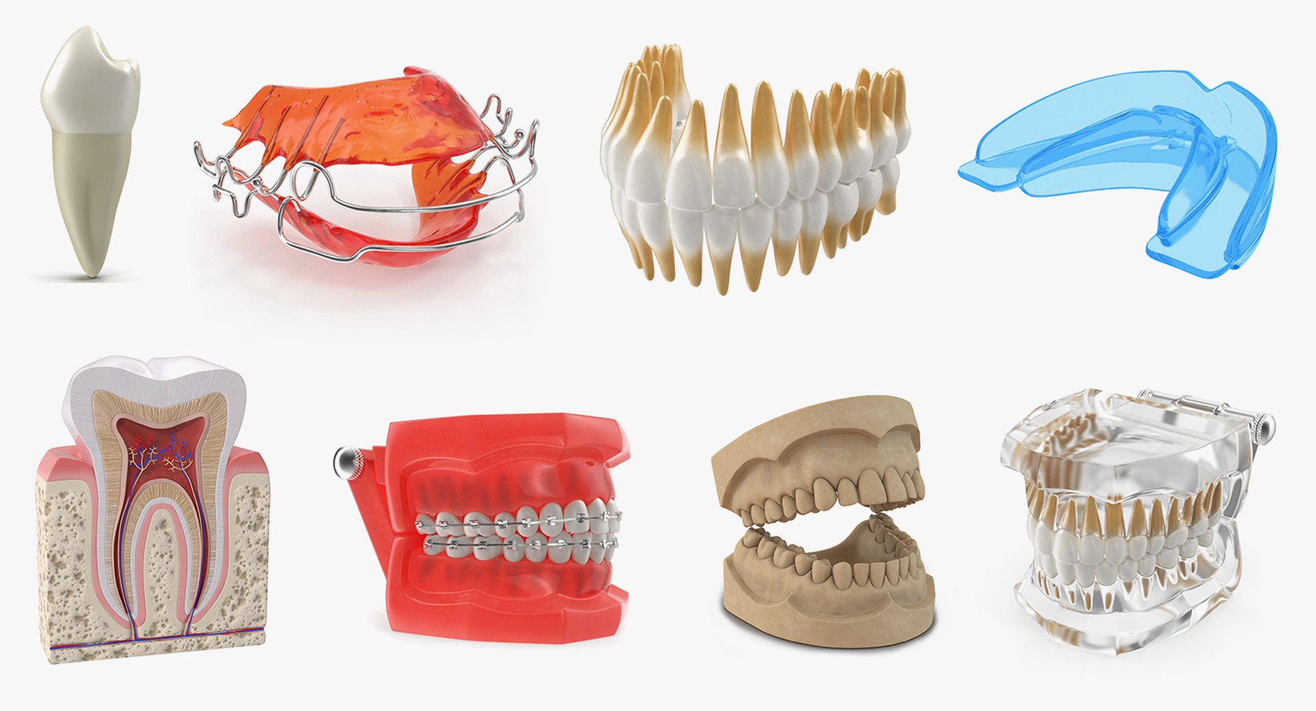 dental 3 3D https://p.turbosquid.com/ts-thumb/XL/uMHi1R/eaxcdX5Z/dentalcollection33dmodel002/jpg/1543060928/1920x1080/fit_q87/e4b0db37609dae73e15b0b3094701685f3c6e312/dentalcollection33dmodel002.jpg