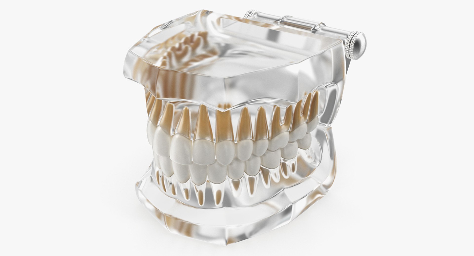 dental 3 3D https://p.turbosquid.com/ts-thumb/XL/uMHi1R/tFt7mA2K/dentalcollection33dmodel036/jpg/1543060944/1920x1080/fit_q87/57062529d77ba6ee4f4e969b2a2a28332c1cc69c/dentalcollection33dmodel036.jpg