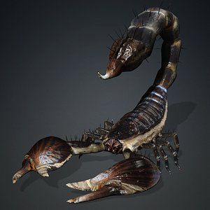 Scorpion-V1