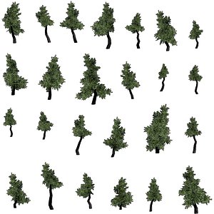 3d pine trees model