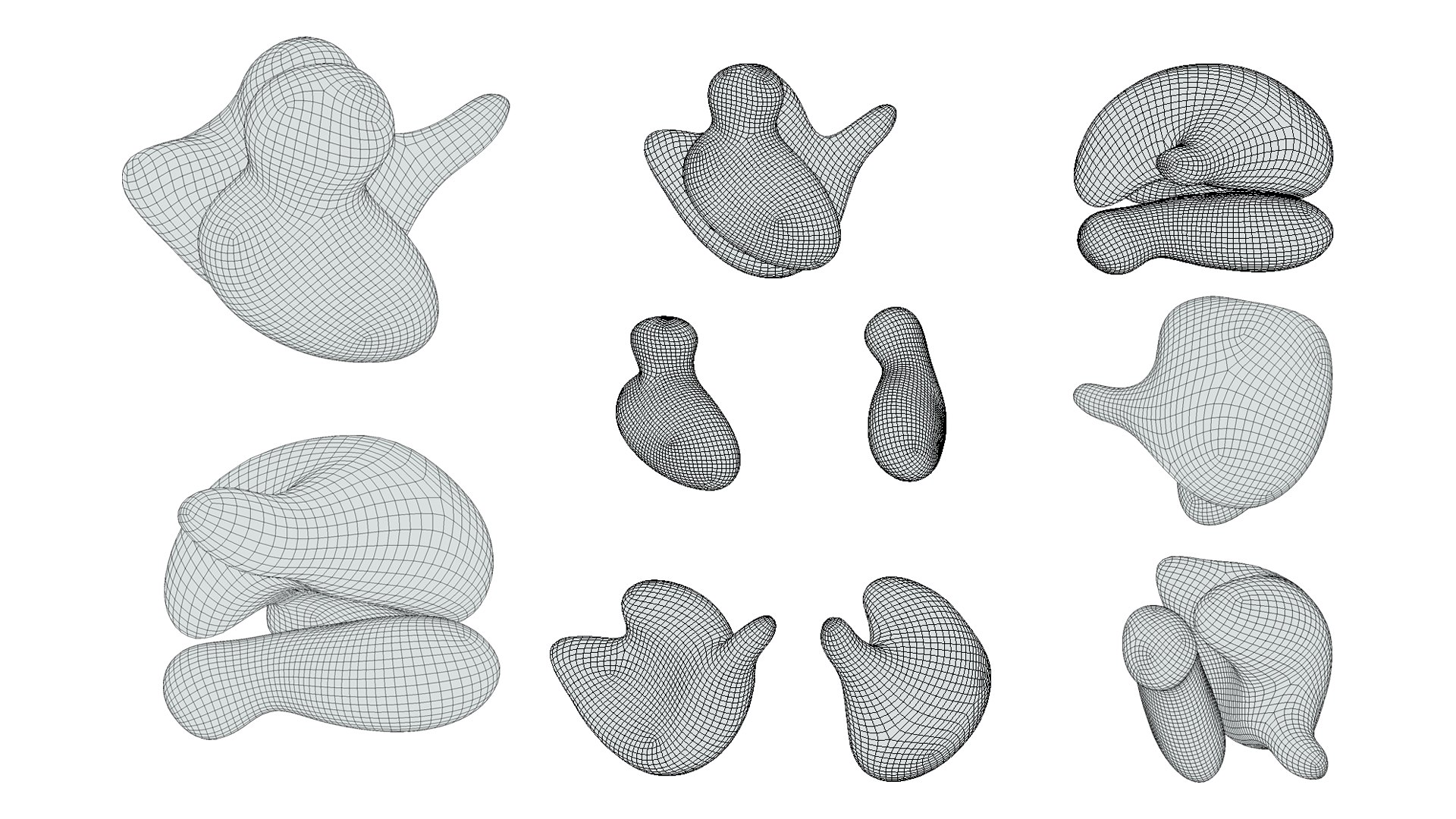 3D Ribosome Structure and Function - TurboSquid 2141083