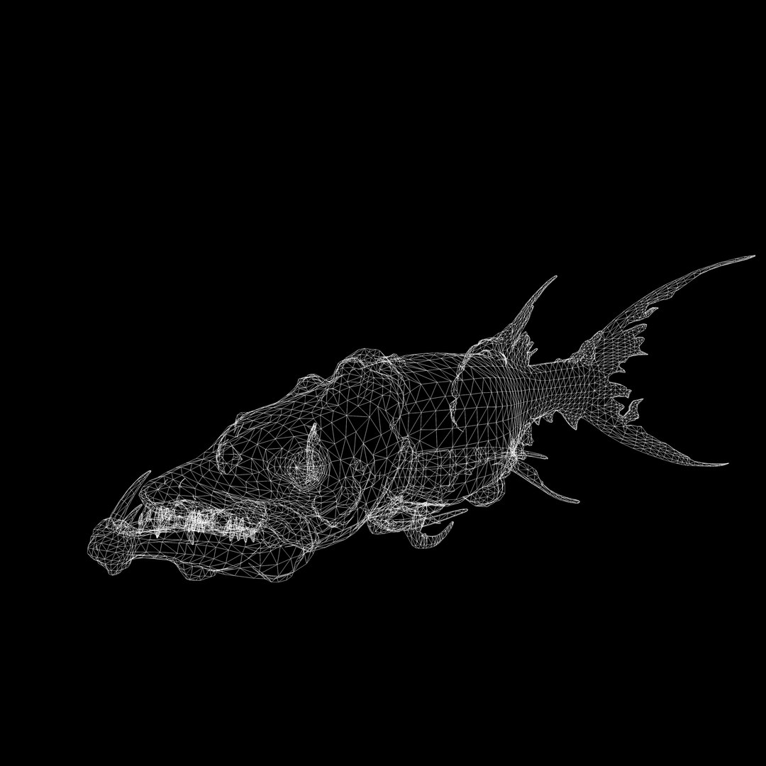 3D model BARRACUDA FISH ANIMAL SEA https://p.turbosquid.com/ts-thumb/XM/7LK8Ul/Er/uv/jpg/1711815735/1920x1080/fit_q87/95601d675572b70e391051e83ea46099b8718b21/uv.jpg