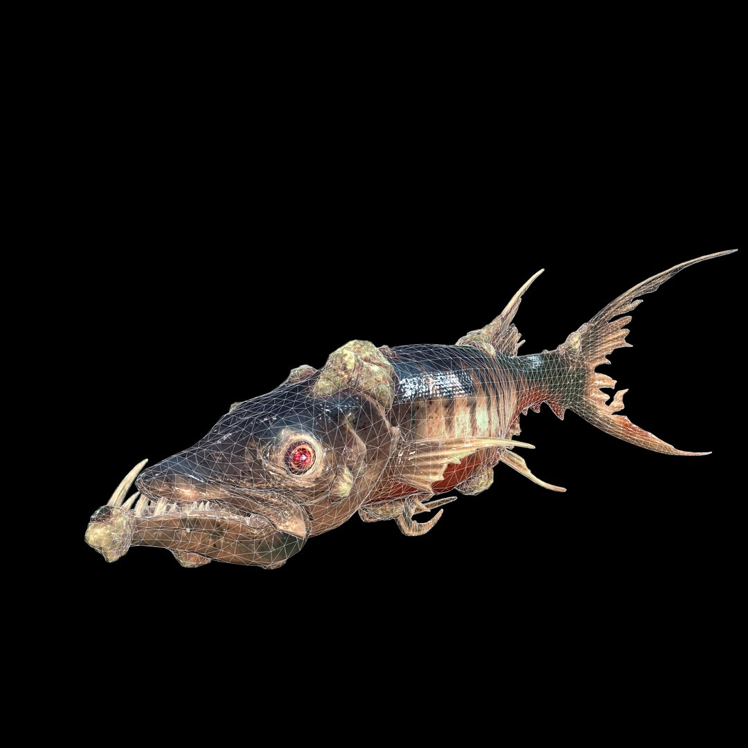 3D model BARRACUDA FISH ANIMAL SEA https://p.turbosquid.com/ts-thumb/XM/7LK8Ul/FB/uv1/jpg/1711815735/1920x1080/fit_q87/0b34b914f266a298cc2271fc1116ccdf4f9c34bb/uv1.jpg