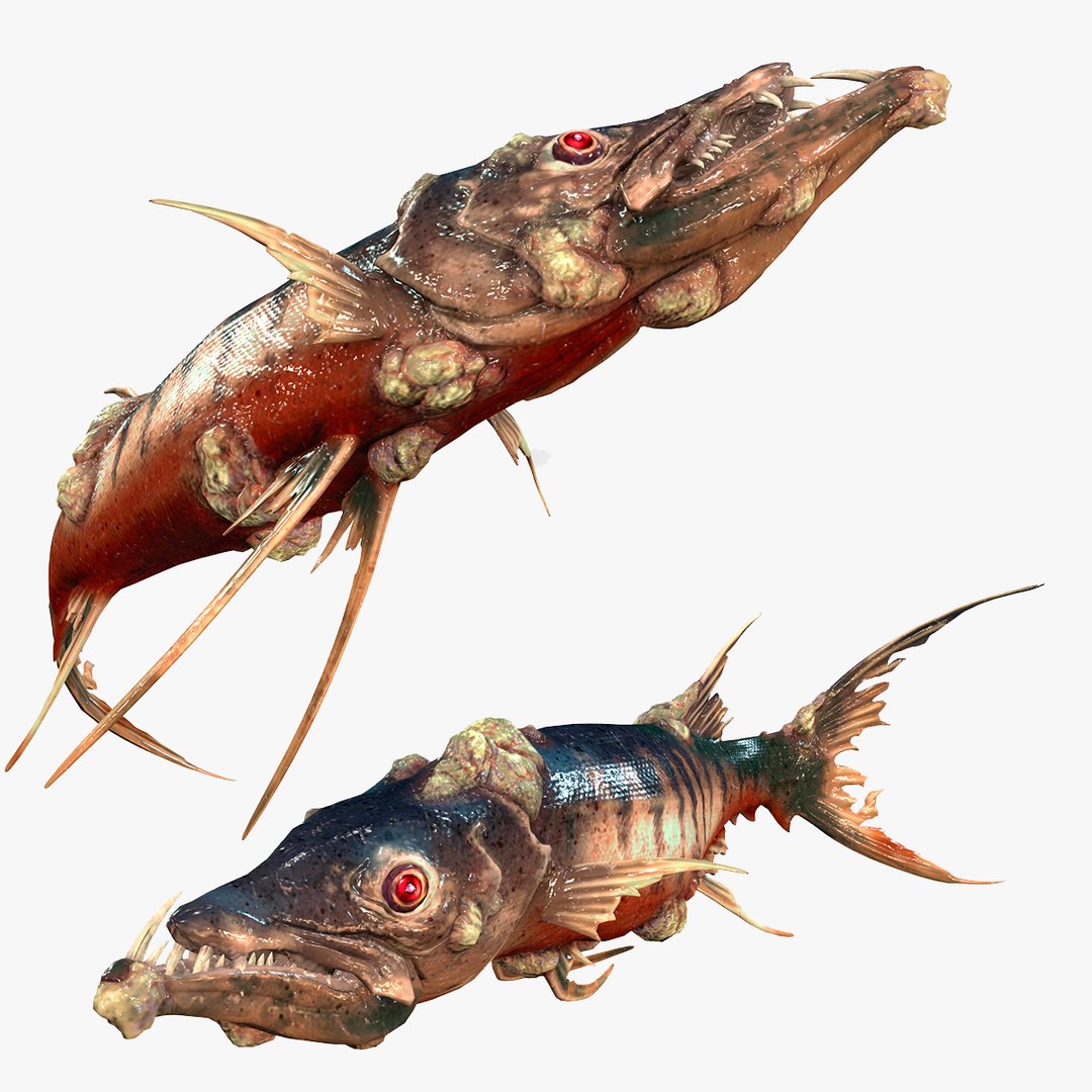 3D model BARRACUDA FISH ANIMAL SEA https://p.turbosquid.com/ts-thumb/XM/7LK8Ul/KS/portada/jpg/1711815669/1920x1080/fit_q87/49a9e90142588cfe406e714dda199df15d733713/portada.jpg