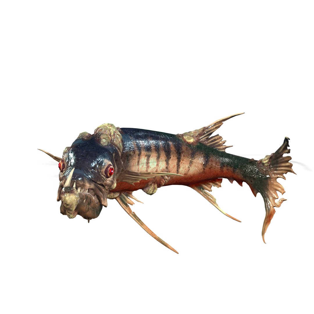 3D model BARRACUDA FISH ANIMAL SEA https://p.turbosquid.com/ts-thumb/XM/7LK8Ul/f3/1/jpg/1711815662/1920x1080/fit_q87/5f45d22a5277f658ba21339ce8d5db1aaf6ae532/1.jpg
