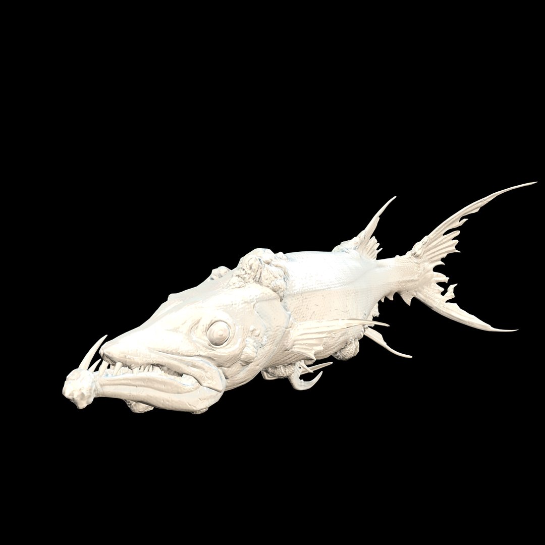 3D model BARRACUDA FISH ANIMAL SEA https://p.turbosquid.com/ts-thumb/XM/7LK8Ul/lc/wire/jpg/1711815735/1920x1080/fit_q87/e9268fe6d29c05bdcfac2440e770e3f8a38ee95e/wire.jpg