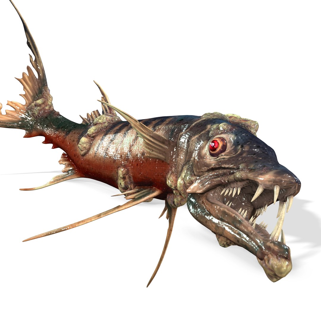 3D model BARRACUDA FISH ANIMAL SEA https://p.turbosquid.com/ts-thumb/XM/7LK8Ul/nt/8/jpg/1711815665/1920x1080/fit_q87/3e94ec55c101dc599e5bab03befda2ef8a0cebb3/8.jpg