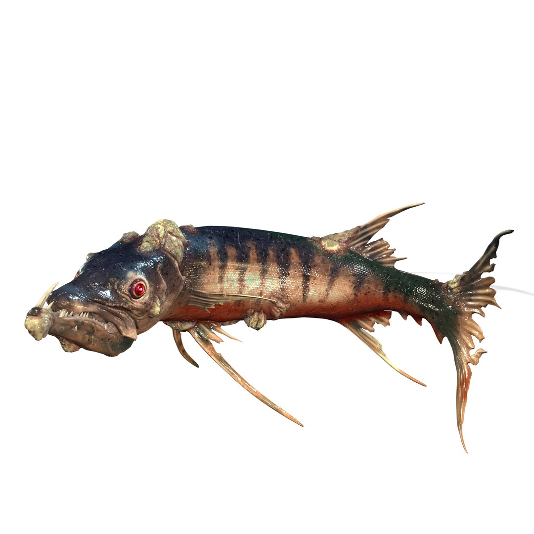 3D model BARRACUDA FISH ANIMAL SEA https://p.turbosquid.com/ts-thumb/XM/7LK8Ul/zm/z0/jpg/1711815661/1920x1080/fit_q87/8c88ba697af0521ef332b848cf3fd84e196d5493/z0.jpg