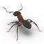 Red Ant Rigged