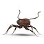 Red Ant Rigged
