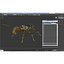 Red Ant Rigged