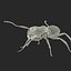 Red Ant Rigged