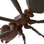 Red Ant Rigged