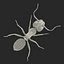 Red Ant Rigged