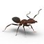 Red Ant Rigged