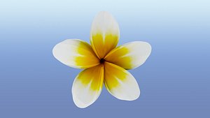 Balinese Flower 3D model