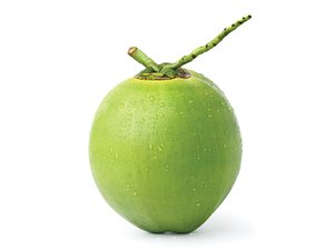 Tender-Coconut - 3D Print model 3D model