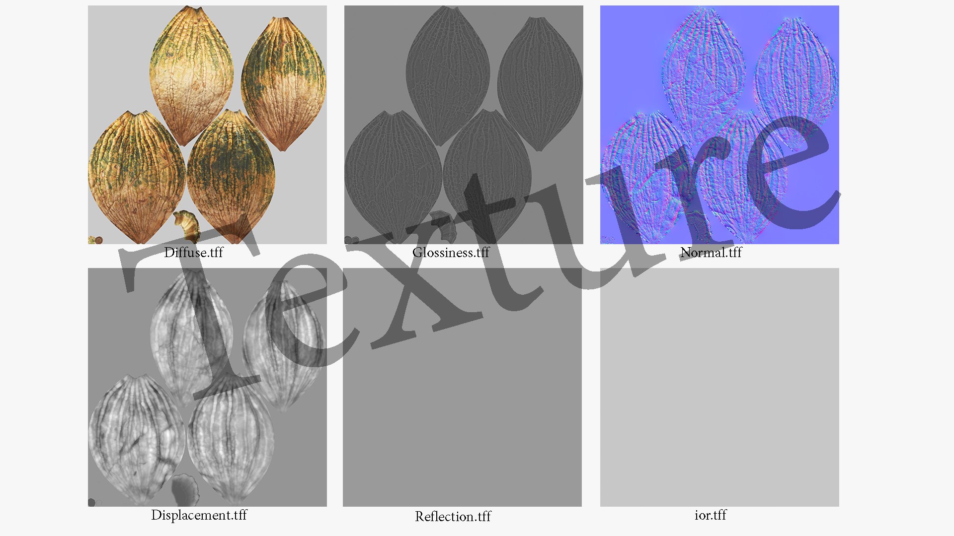 3D pumpkin v-ray subdivision model https://p.turbosquid.com/ts-thumb/XM/ezRAsx/EJp1wwpe/pumpkinbig_textureall/jpg/1580631187/1920x1080/fit_q87/3b7480ca657ece4cf22ec2d26e88452c93b283ab/pumpkinbig_textureall.jpg