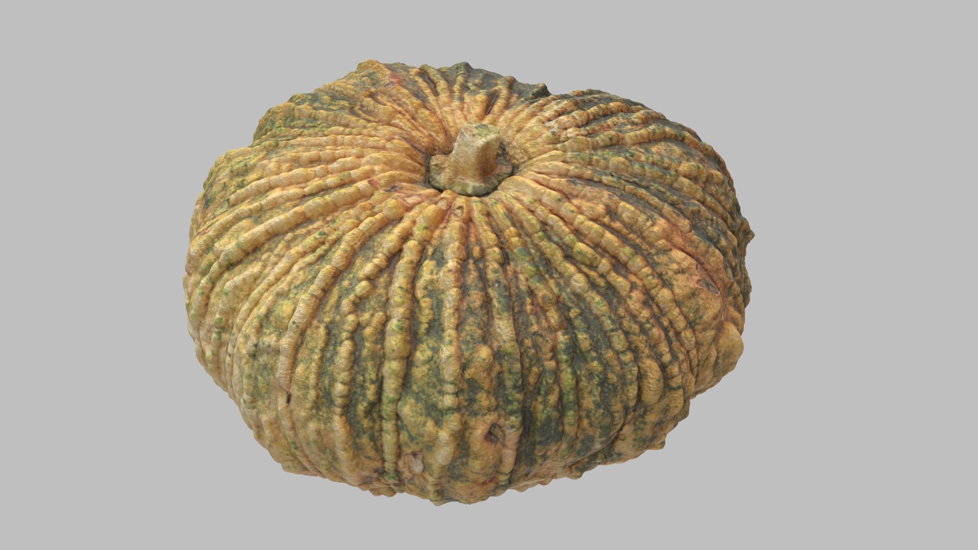 3D pumpkin v-ray subdivision model https://p.turbosquid.com/ts-thumb/XM/ezRAsx/O9wlE289/pumpkinbig_001/jpg/1580579584/1920x1080/fit_q87/238973d8f3e90576b3f1e3d7956e2ef0530310d8/pumpkinbig_001.jpg