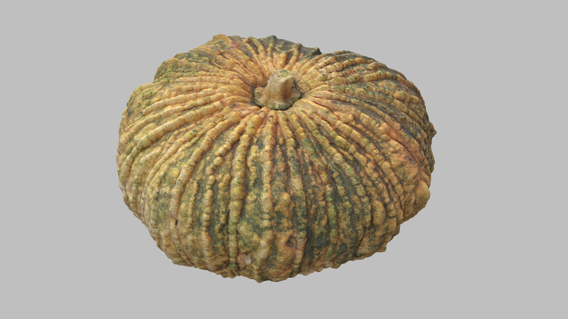 3D pumpkin v-ray subdivision model https://p.turbosquid.com/ts-thumb/XM/ezRAsx/Wx7sX8YO/pumpkinbig/jpg/1580629032/1920x1080/turn_fit_q99/3de2bcb4b9324e914e3eb5e37eedd0be19d01d0e/pumpkinbig-1.jpg