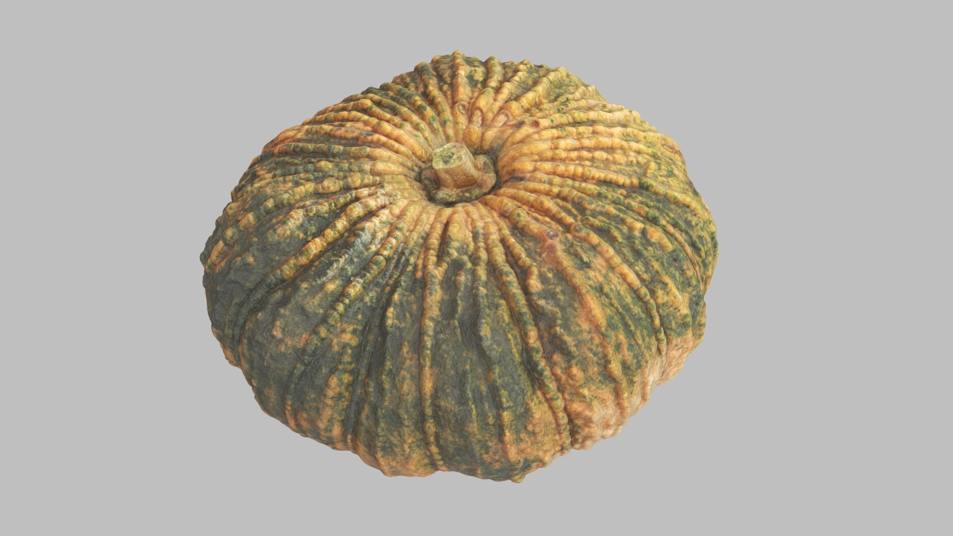 3D pumpkin v-ray subdivision model https://p.turbosquid.com/ts-thumb/XM/ezRAsx/sDL8k6gg/pumpkinbig_003/jpg/1580579578/1920x1080/fit_q87/15d1a2661fe3a126f645f3efe371165b0a23d943/pumpkinbig_003.jpg