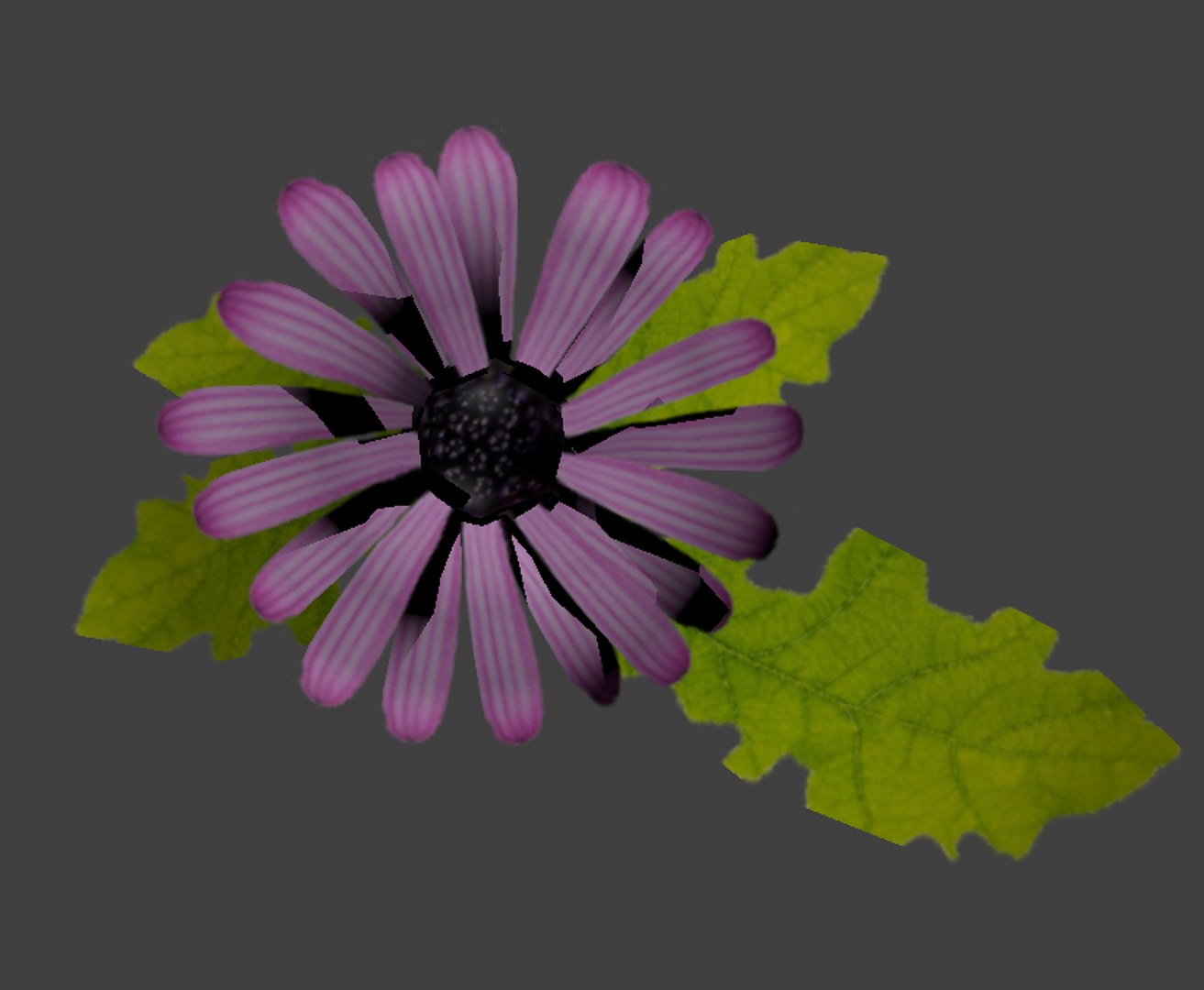 max daisy https://p.turbosquid.com/ts-thumb/XM/jhreVi/UQv2AZPj/daisy_02_scr07/png/1488834630/1920x1080/fit_q87/cb391279bafbd86d2694ca04fd5f1f270ed44889/daisy_02_scr07.jpg