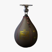 Boxing Speed Bag - PBR