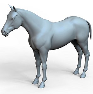 Zbrush Realistic Horse Base Mesh