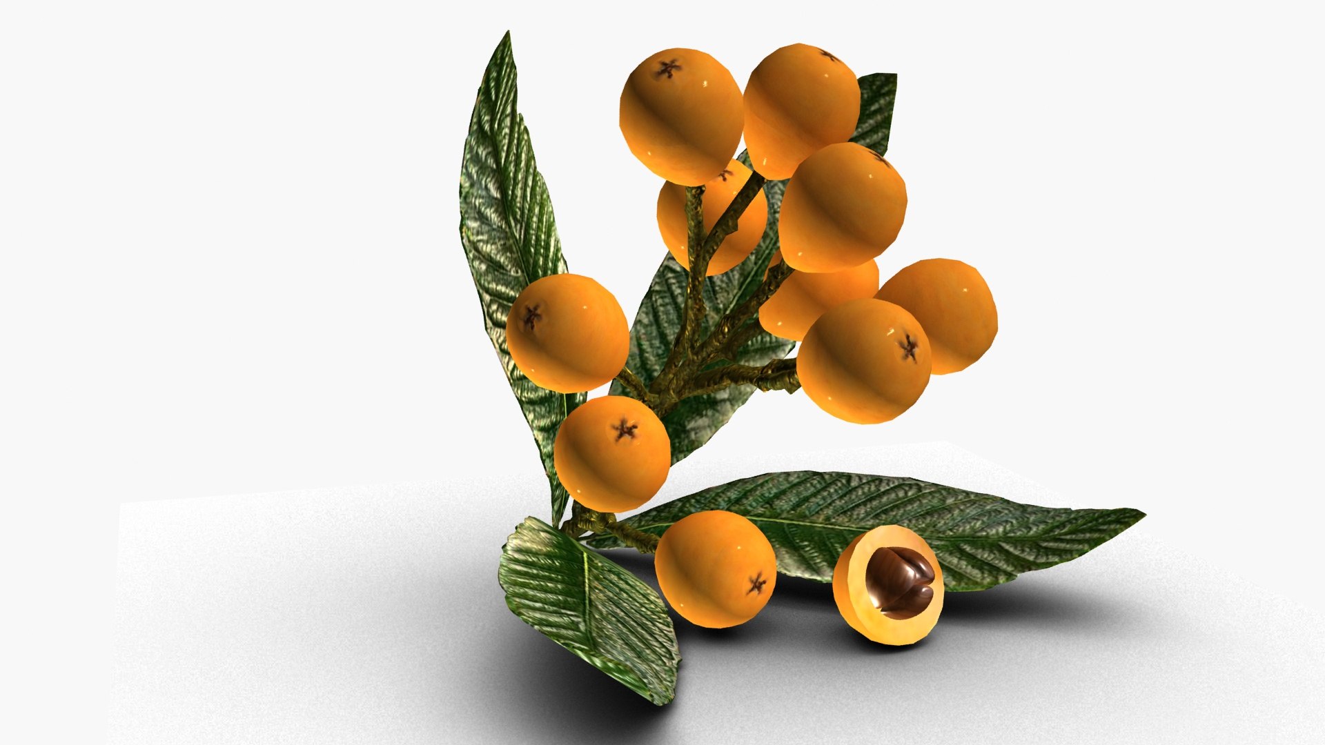 3D Loquat fruit model https://p.turbosquid.com/ts-thumb/XM/yf3hjw/V0/ps2/jpg/1730027317/1920x1080/fit_q87/fb4dc12e30d23b4afa1c9a91f4893d405786e91b/ps2.jpg