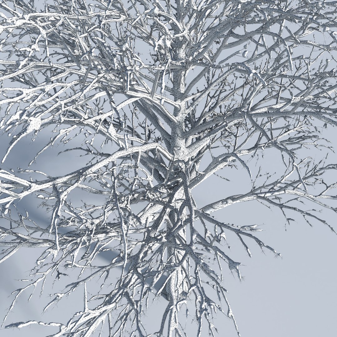 3D trees 3 https://p.turbosquid.com/ts-thumb/XM/zOvCnA/bc6Hzn0y/3_season_trees_39/jpg/1543038414/1920x1080/fit_q87/ce60b1b94b0edff0460d18704cab8ceb464ab45a/3_season_trees_39.jpg