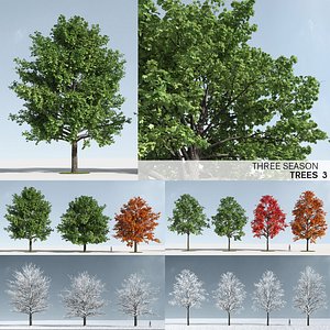 Three Season Trees 3: Maple (+GrowFX)