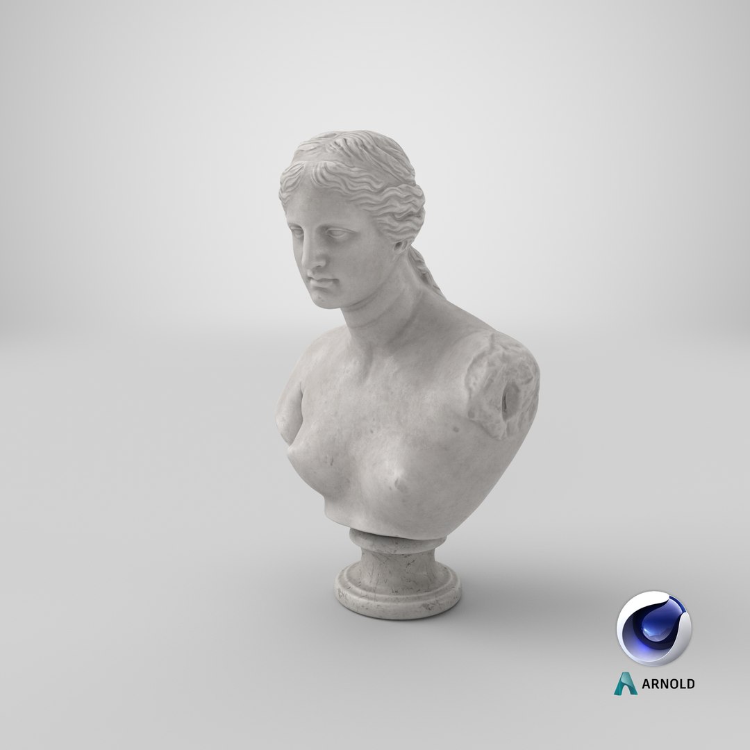 venus milo bust 3D model https://p.turbosquid.com/ts-thumb/XM/zVJM0k/IjGAqcMz/stemcell_cinema_4d_arnold_render/png/1581766614/1920x1080/fit_q87/3b344bbfad01178c62ff25fefb6a4d50eca052d6/stemcell_cinema_4d_arnold_render.jpg