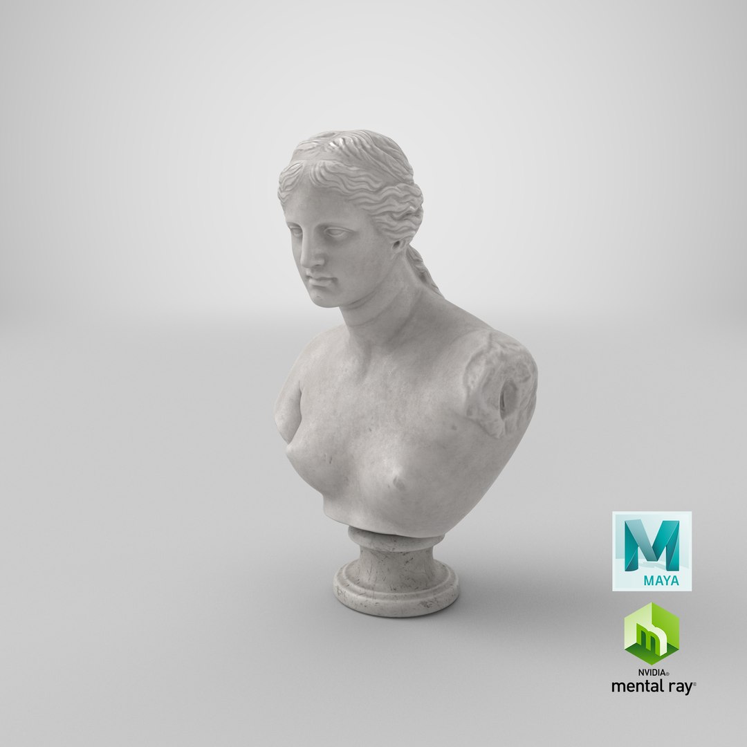 venus milo bust 3D model https://p.turbosquid.com/ts-thumb/XM/zVJM0k/acGsGeZ7/stemcell_maya_mental_ray_render/png/1581766635/1920x1080/fit_q87/df0a30cac8ca71242f0e0dcd2bcb3daee81dc06c/stemcell_maya_mental_ray_render.jpg