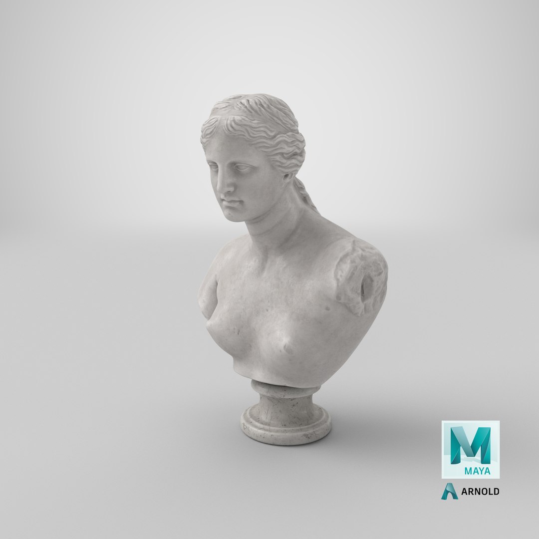 venus milo bust 3D model https://p.turbosquid.com/ts-thumb/XM/zVJM0k/mJYLOhYW/stemcell_maya_arnold_render/png/1581766632/1920x1080/fit_q87/c65cf57d034a03f292b6270cbf7c621f9fc175d6/stemcell_maya_arnold_render.jpg