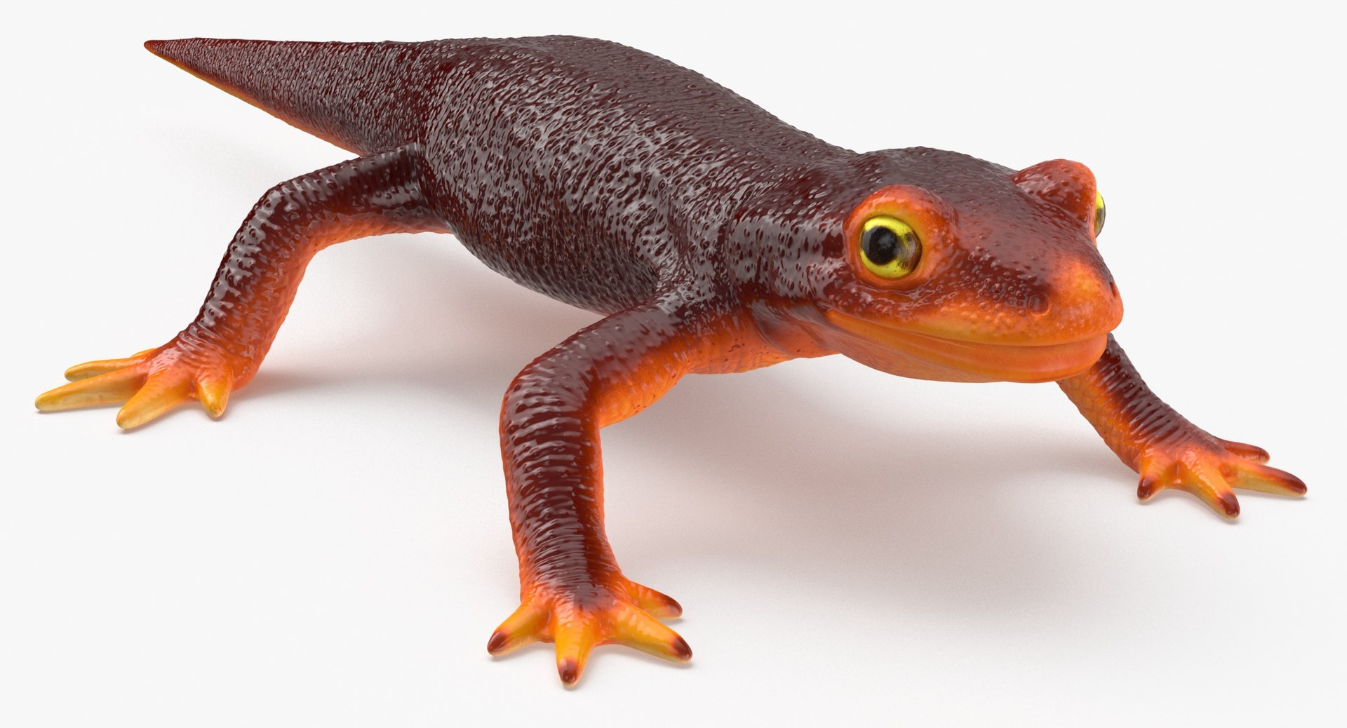 Newt 3D Model - TurboSquid 2074677