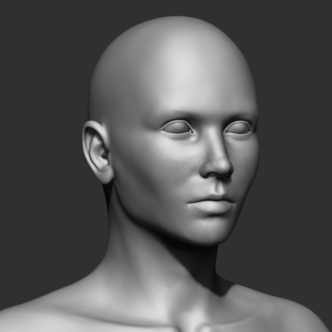 female base head mesh 3D model https://p.turbosquid.com/ts-thumb/XN/DJ6osR/7bZwcuOC/sq/jpg/1591656325/1920x1080/fit_q87/fe02bf9e886bd8f7918975741de31869aacca5e0/sq.jpg